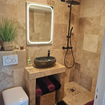 Lovely With Private Garden And A Swimming-pool 公寓 尼斯