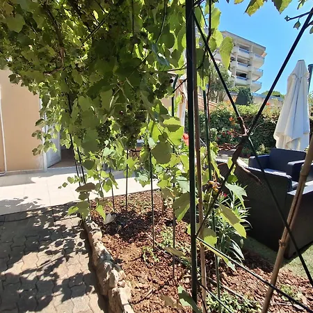 Lovely With Private Garden And A Swimming-pool Nizza